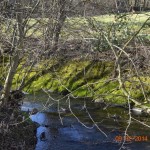 DSC_0129low