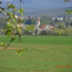 DSC_0838low