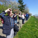 20150419_SAV_bi_Weinberge Metz-Neuhsn (22)
