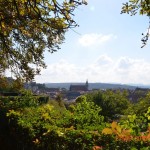 DSC_0142_low DSC_0142_low