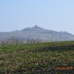 DSC_0665_low