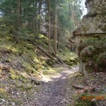 DSC_0711_low