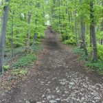 2017_05_14-muttertagswanderung-2